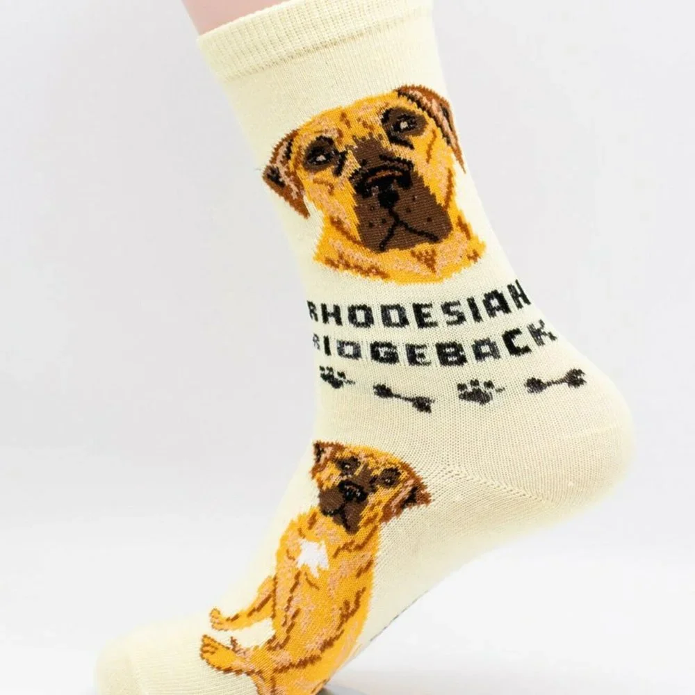 Rhodesian Ridgeback Dog Socks 2 Pairs Hunting Foozys Canine Puppy Cute Dogs